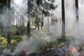Sensibilisation aux risques de feux de végétation et de forêt